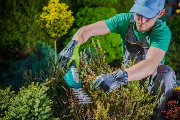 landscaping services Elmwood Place